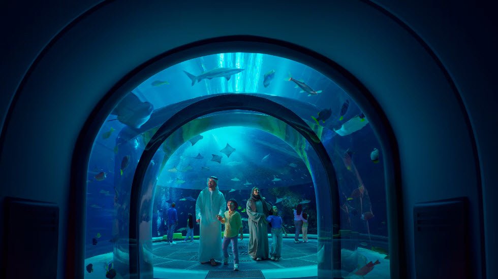 SeaWorld Abu Dhabi , , United Arab Emirates